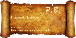 Pucsek Bence névjegykártya